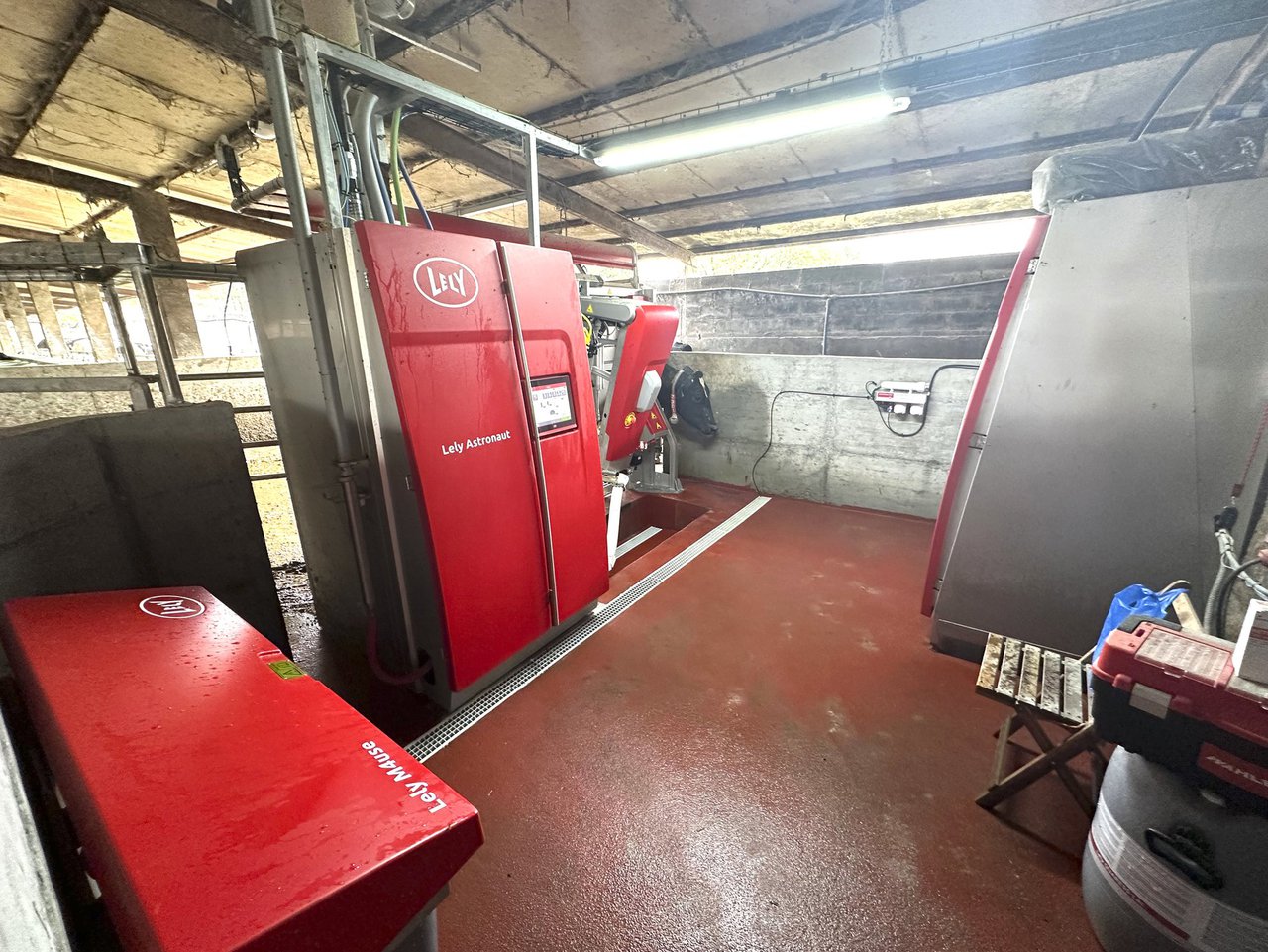 Lely supera a cifra dos 400 robots de muxido en Galicia