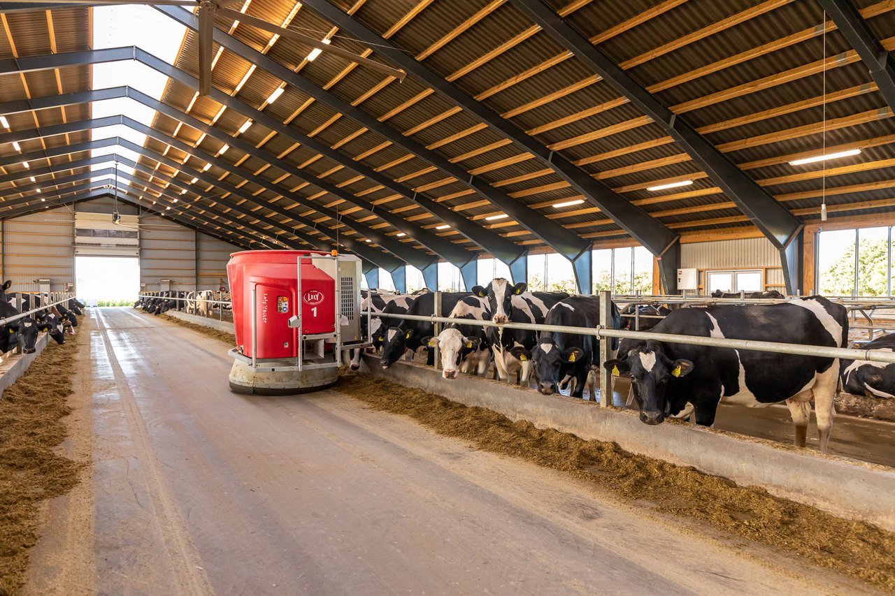 O robot de alimentación Lely Vector é o máis rendible por litro de leite producido