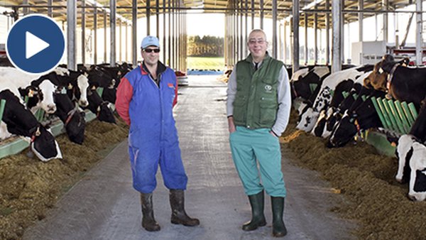 SAT Lodos e Pérez, un proyecto innovador con sello Lely