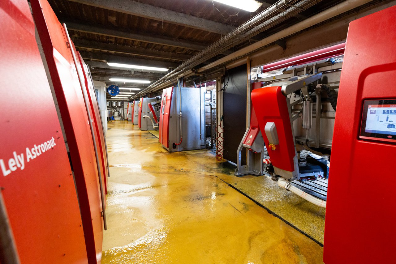 La filosofía Lely para el ordeño en grandes explotaciones (IV): gestión de la mano de obra con robots de ordeño