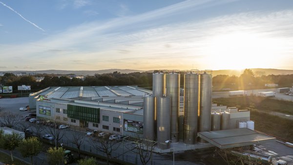 Grupo Lence supera os 284 millóns de facturación en 2024