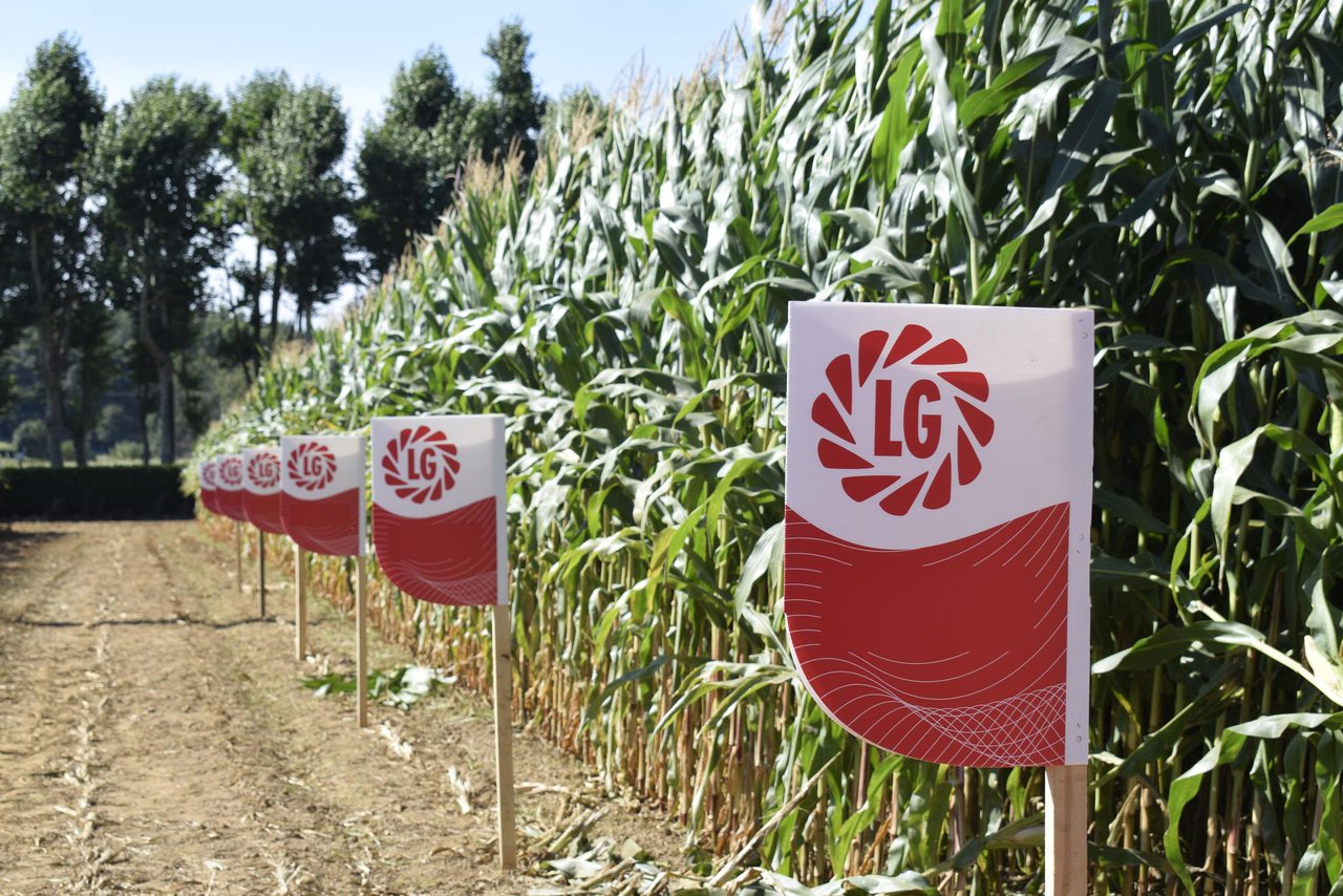 LG conmemora 60 anos da súa fundación en Francia