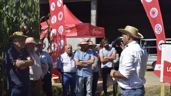 Semillas LG refuerza su apuesta por variedades altamente digestibles y resistentes al estrés hídrico