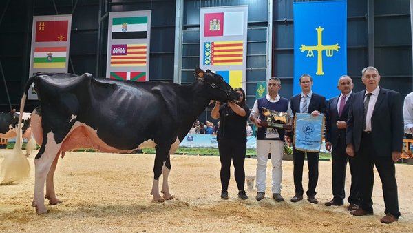 Emocionante victoria para Llinde Ariel Jordan, vaca gran campeona nacional