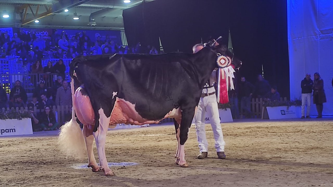 Llinde Ariel Jordan conquista o podio de Cremona