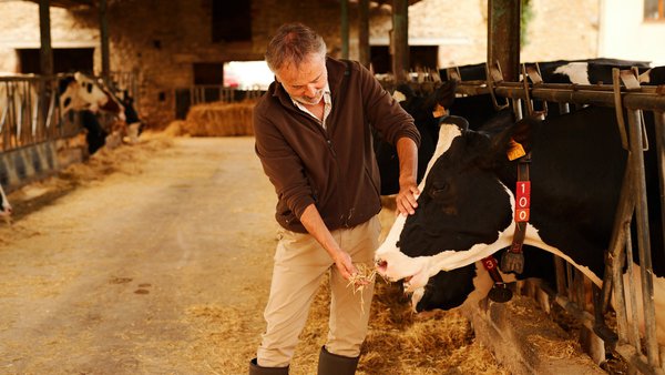 O modelo de produción europeo dá ás á internacionalización do lácteo