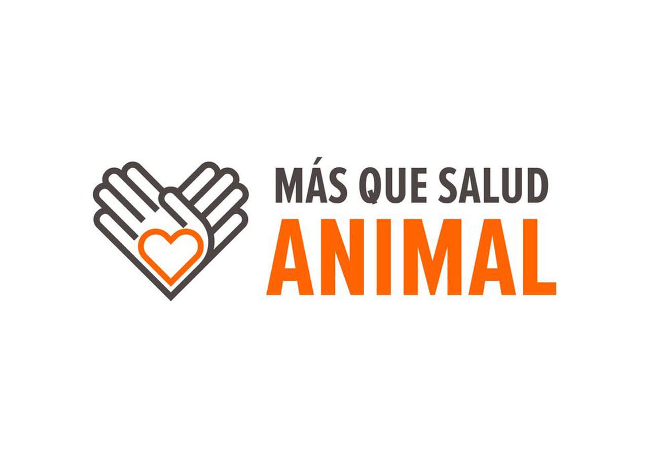 #MásQueSaludAnimal, o proxecto de social media de Zoetis España