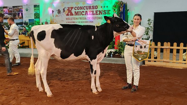 Ema Couto y Mariana Simões, mejores manejadoras en el concurso frisón de otoño en Azores