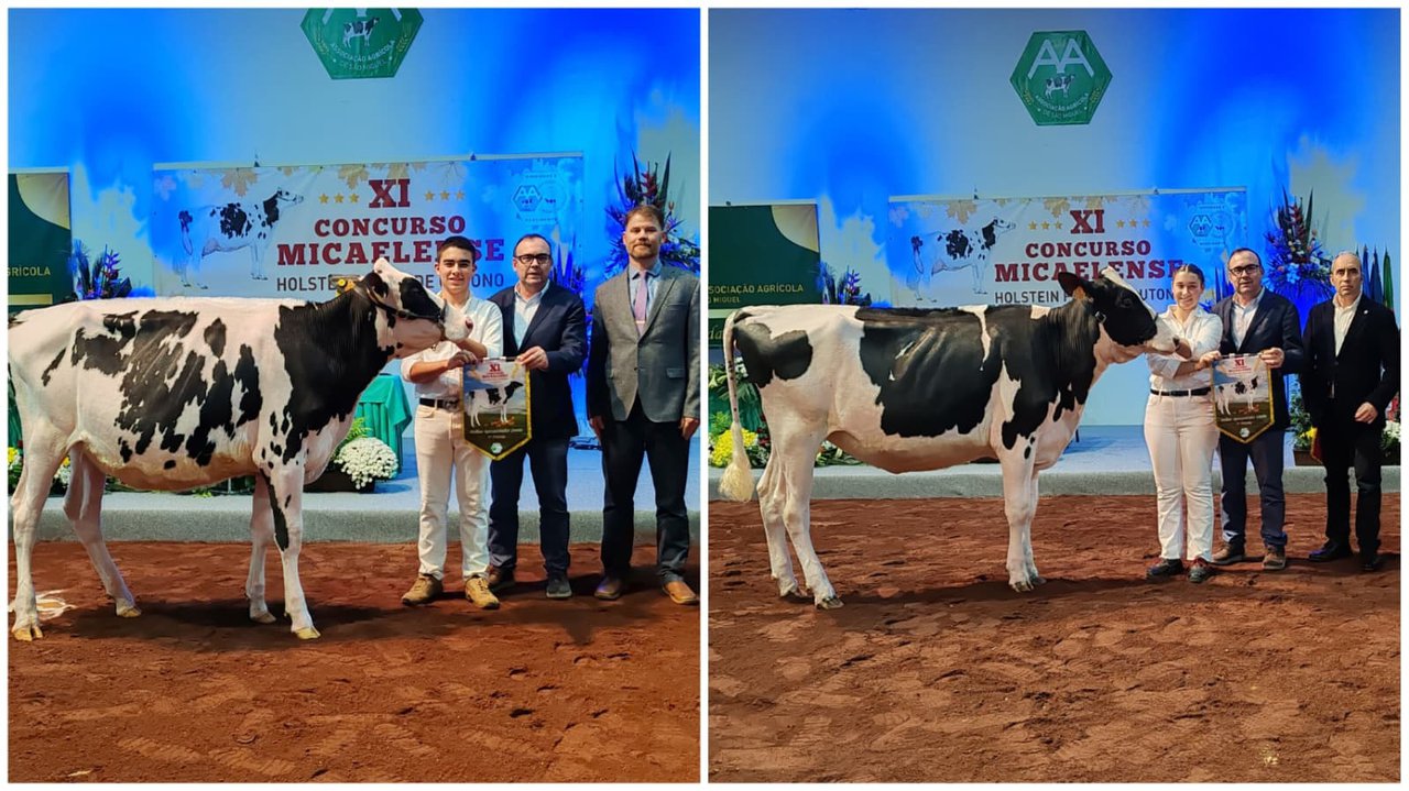 Manuel Raposo e [ADULTO] destacan como mellores manexadores no XI Concurso de Outono de Azores