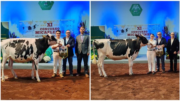 Manuel Raposo e [ADULTO] destacan como mellores manexadores no XI Concurso de Outono de Azores
