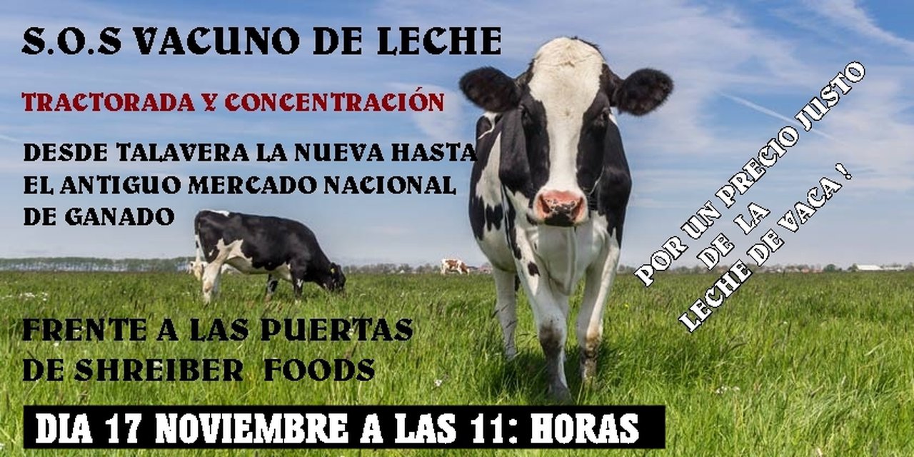 A plataforma Basta Ya de Abusos denuncia a Shreiber Food e a UPA e Asaja Toledo por condenar á ruína ao sector lácteo