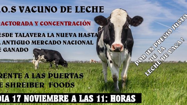 A plataforma Basta Ya de Abusos denuncia a Shreiber Food e a UPA e Asaja Toledo por condenar á ruína ao sector lácteo