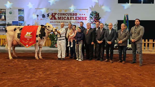 Maravilha es la vaca gran campeona en el décimo concurso de otoño en Azores