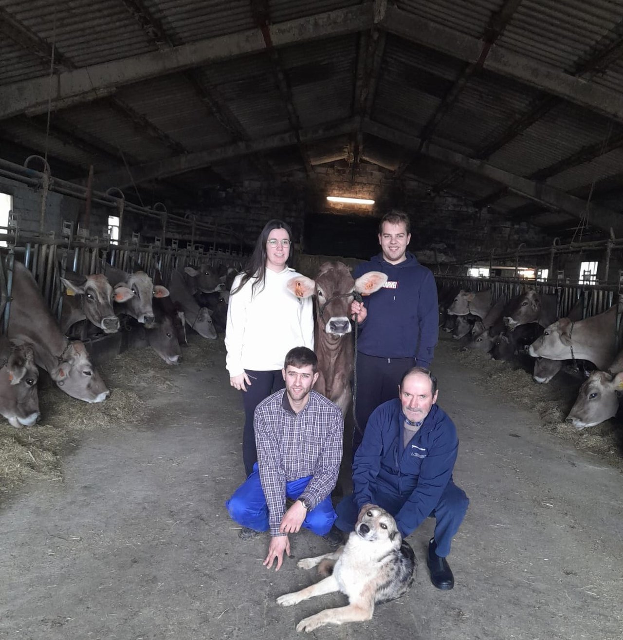 A gandería María Amor adquire unha xata por 6.000 euros en Cremona