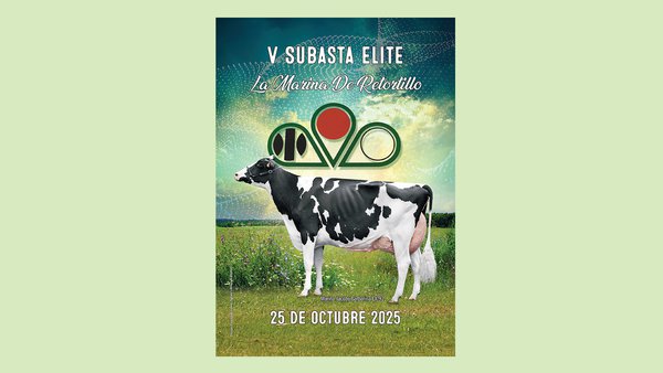Consulta xa toda a información dos 35 animais que venderá este sábado La Marina de Retortillo