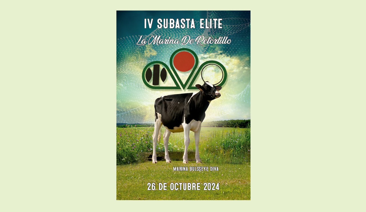 Ya está disponible el catálogo de la IV Subasta de Élite de La Marina de Retortillo