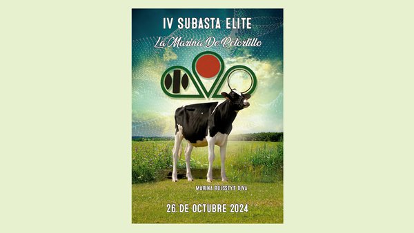 Ya está disponible el catálogo de la IV Subasta de Élite de La Marina de Retortillo