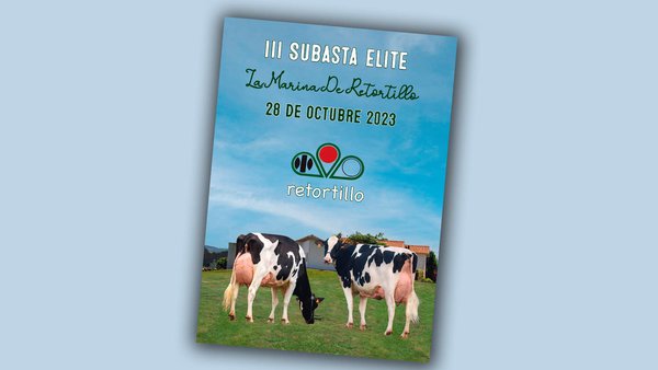 Este sábado chega a III Poxa de Elite de La Marina de Retortillo