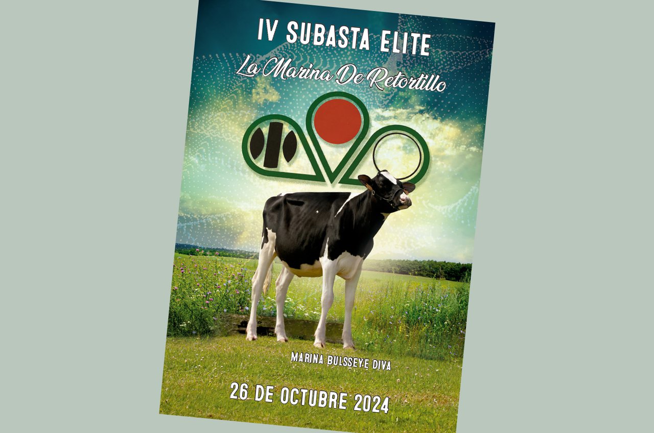 La Marina de Retortillo llevará a cabo su IV Subasta de Élite el próximo 26 de octubre