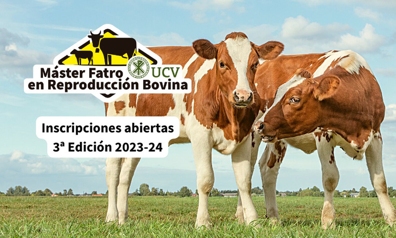 Aberto o prazo de inscrición para o Máster Fatro-UCV Reprodución Bovina