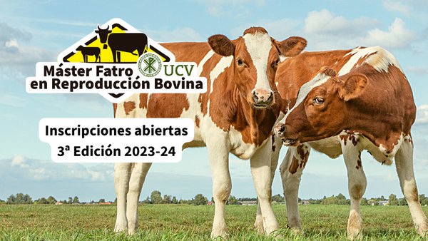 Aberto o prazo de inscrición para o Máster Fatro-UCV Reprodución Bovina