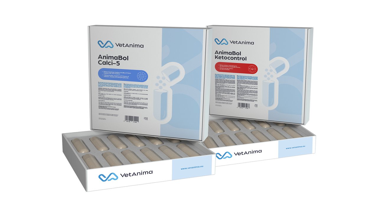 VetAnima: solucións innovadoras para mellorar a saúde e a produtividade do gando bovino