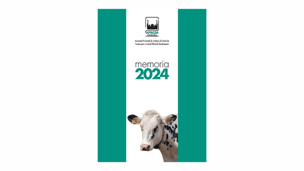 Xa dispoñible a Memoria 2024 de Africor Coruña