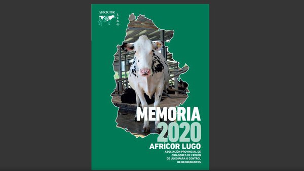 Consulta on line a Memoria de Africor Lugo 2020