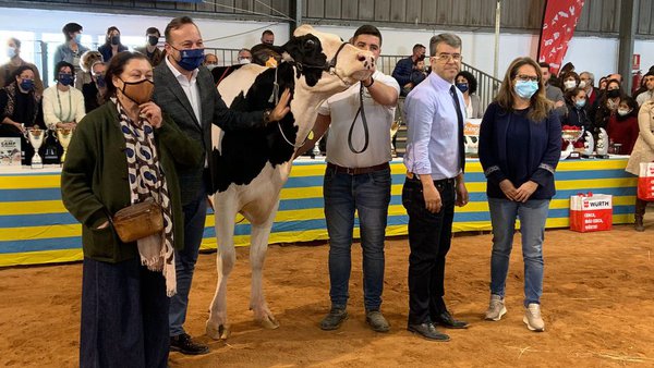 Foto: Asociación Frisona Balear