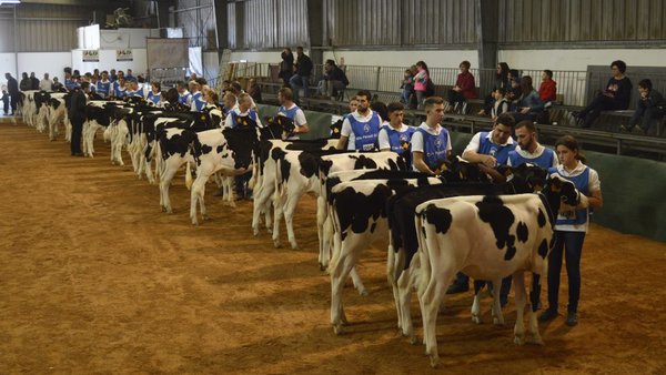 Comezamos a retransmisión do show frisón de Menorca