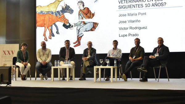 As novas tecnoloxías, a medicina tradicional e a lexislación, os tres bloques do Congreso anual de Anembe celebrado en León