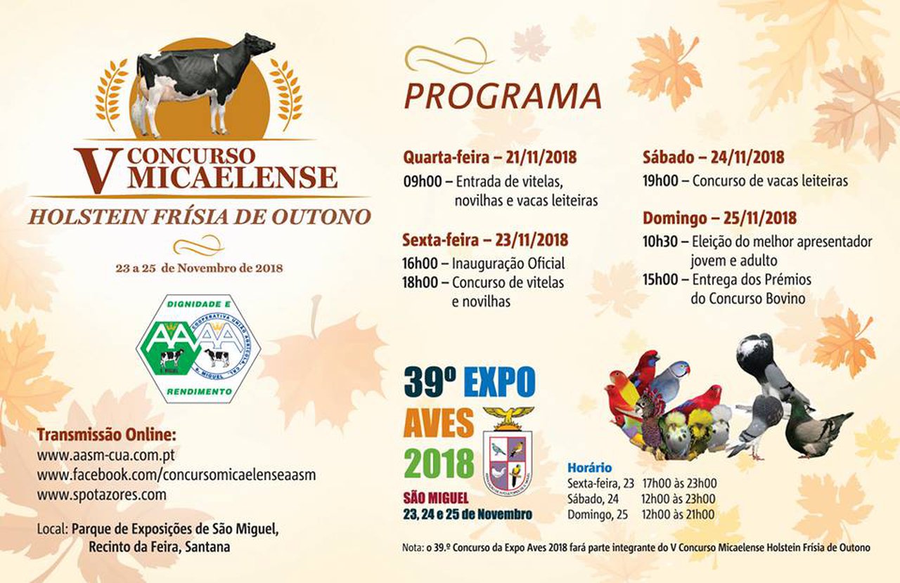 O certame frisón de outono nos Azores, esta fin de semana