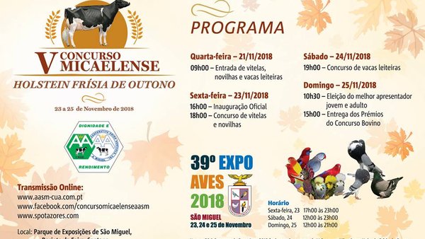 O certame frisón de outono nos Azores, esta fin de semana