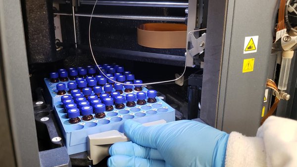 AMSvet, en colaboración con Exopol, desarrolla un método para la detección de micotoxinas en suero y plasma