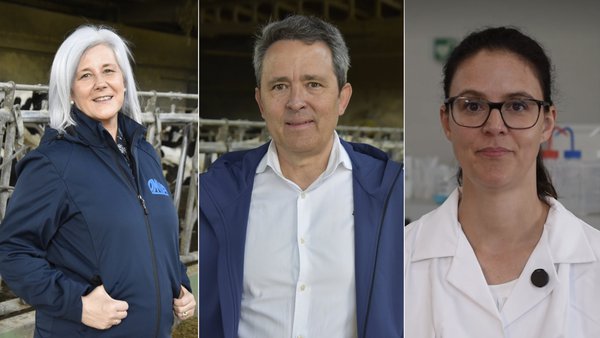 Nutrición intelixente, rume eficiente! Un novo enfoque para a saúde ruminal