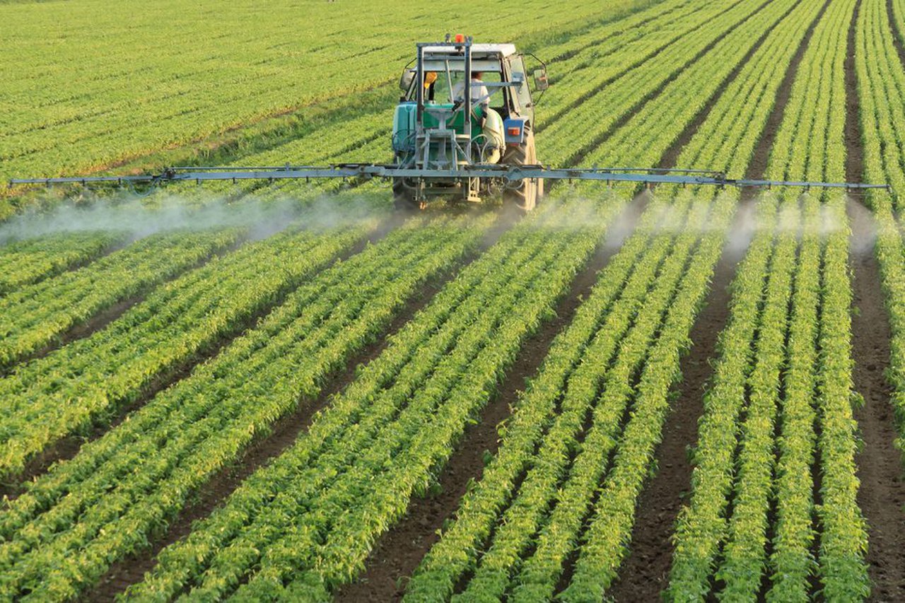 O Goberno actualiza a lexislación en materia de produtos fitosanitarios para aumentar a calidade e seguridade dos alimentos