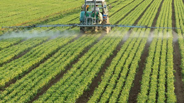 El Gobierno actualiza la legislación en materia de productos fitosanitarios para aumentar la calidad y seguridad de los alimentos