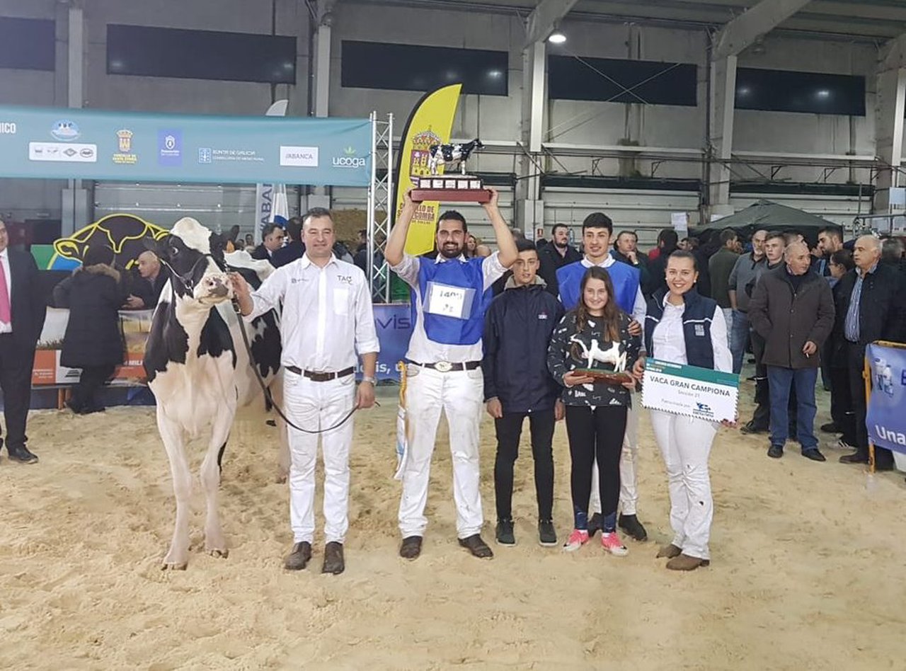Rey 642 Yudi Doorman, vaca gran campiona de Galicia 2018