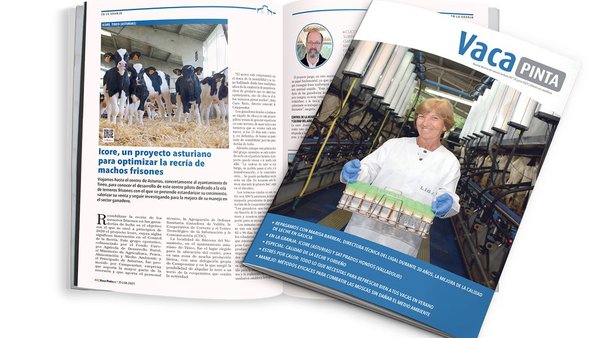 O verán chega coa publicación de Vaca Pinta 25