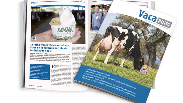 O número de verán de Vaca Pinta, xa en liña!