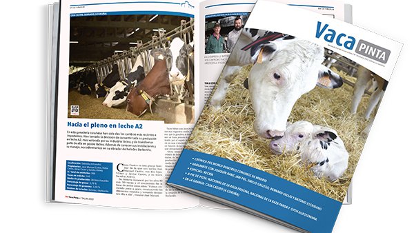 Consulta xa o novo especial sobre recría de Vaca Pinta!