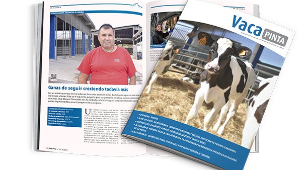 Vaca Pinta 41, xa dispoñible en todas as plataformas