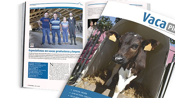 El número especial sobre recría de Vaca Pinta, ya disponible