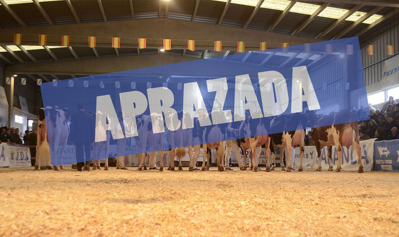 A Moexmu, aprazada