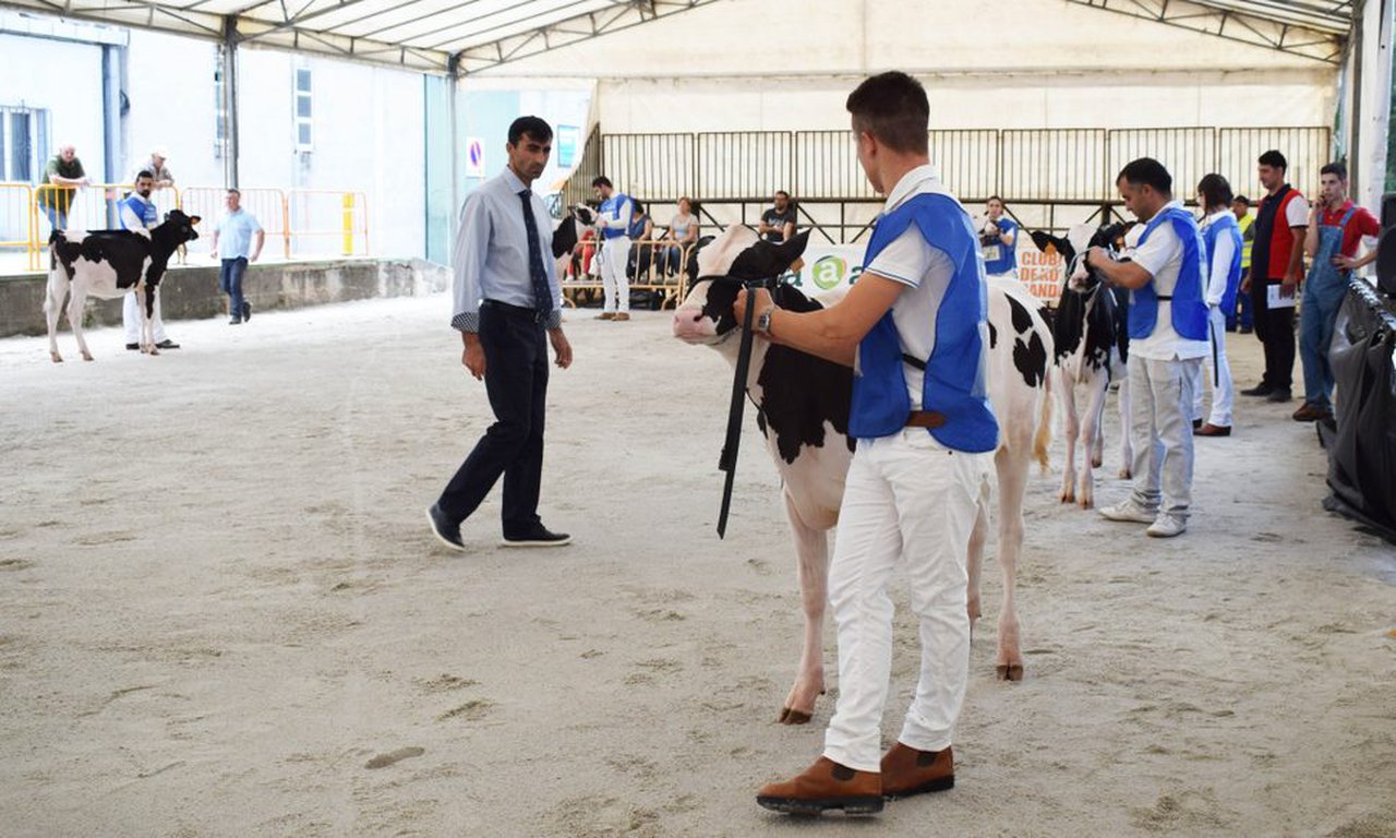 Henrique Moniz, xuíz do concurso frisón da Moexmu 2020