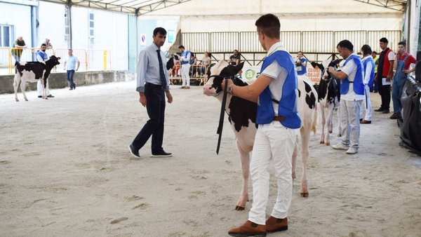 Henrique Moniz, xuíz do concurso frisón da Moexmu 2020