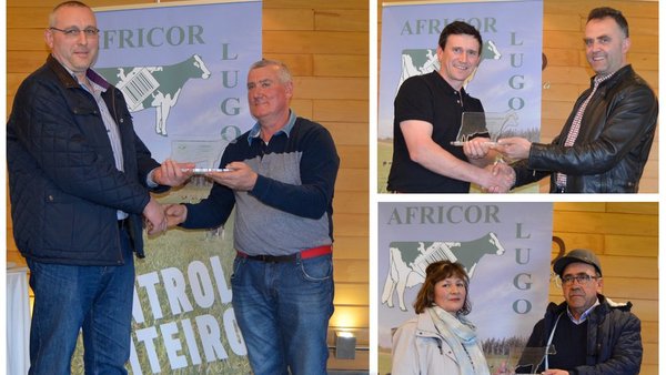 Entregados os premios de Africor Lugo ás mellores ganderías da provincia
