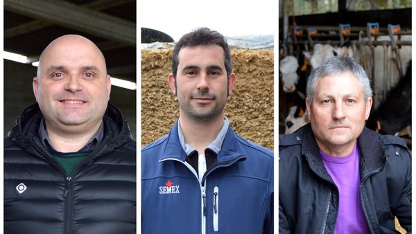 Sipcam Iberia presenta Trika® 1 Lambda, o insecticida con efecto enraizante