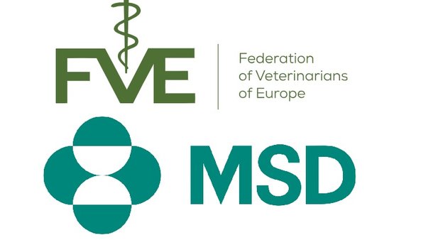 Tres españois entre os premiados coas becas de FVE e MSD Animal Health