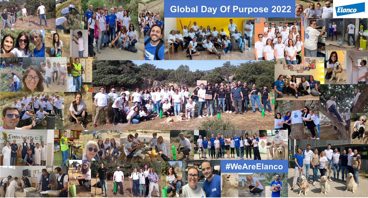 Os empregados de Elanco participan en iniciativas solidarias polo Día do Voluntariado